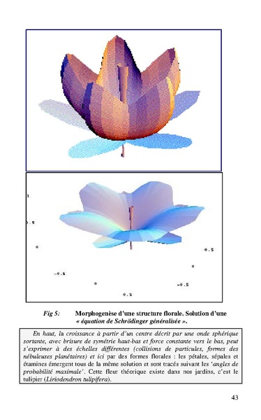 Fichier:ALS Colloque Darwin 2009.pdf