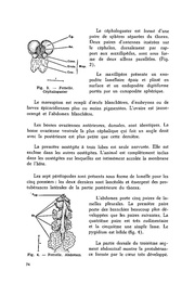 page suivante →
