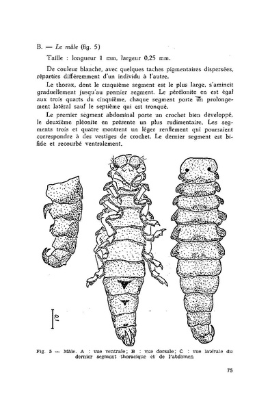Fichier:ALS 1981 20 3.pdf