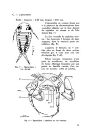 page suivante →
