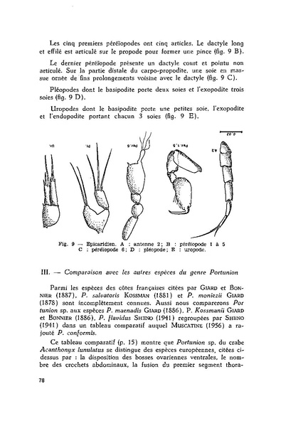 Fichier:ALS 1981 20 3.pdf
