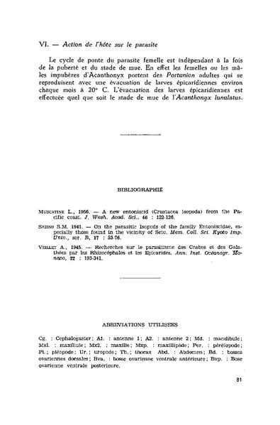 Fichier:ALS 1981 20 3.pdf