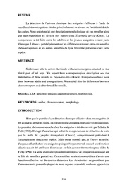 page suivante →
