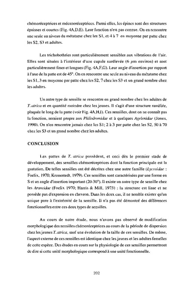 Fichier:ALS 1994 33 4.pdf