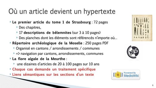 HIS 9 intro images.009.jpeg