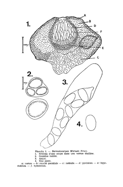 Fichier:ALS 1971 10 2.pdf