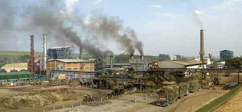Thery-Girault-Biocarburants Page 3 Image 0001.jpg