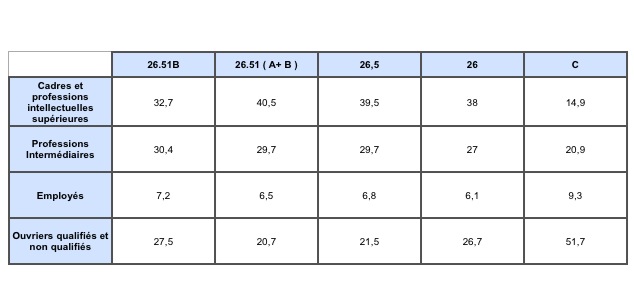 Nature des emplois en pourcentage.jpg