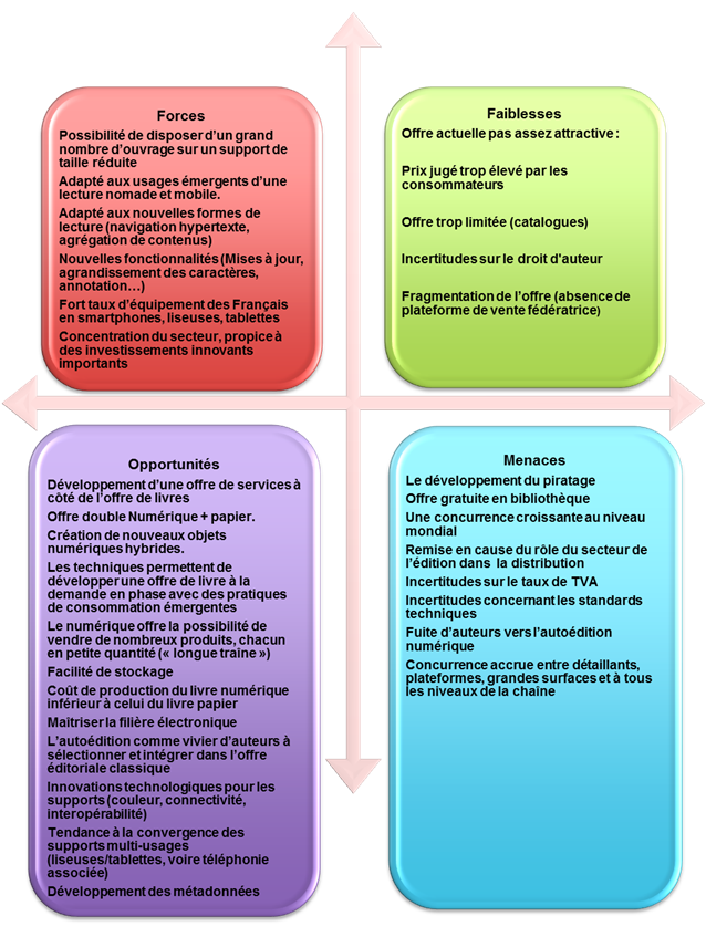 SWOT Livre numérique4.png