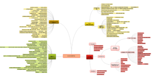 MindMaple-2-global-petit.png