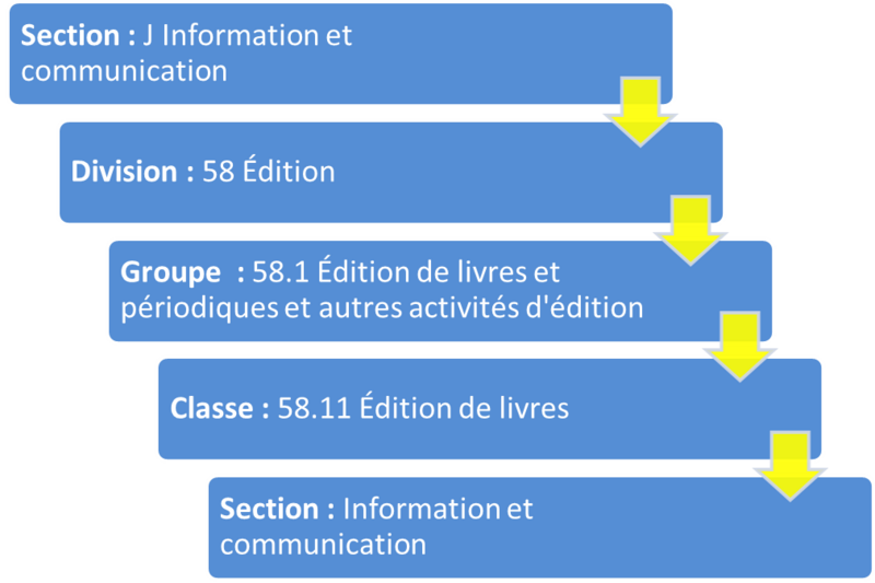 Fichier:NAS2.png