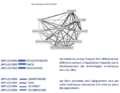 Cluster application - copie.png