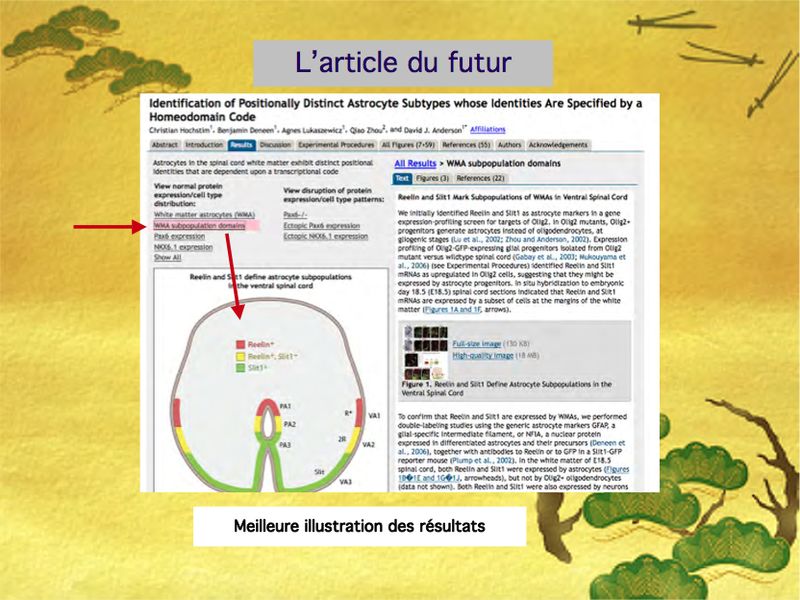 Fichier:Article du futur 33.jpg