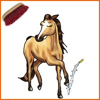 Soins du cheval titre.jpg