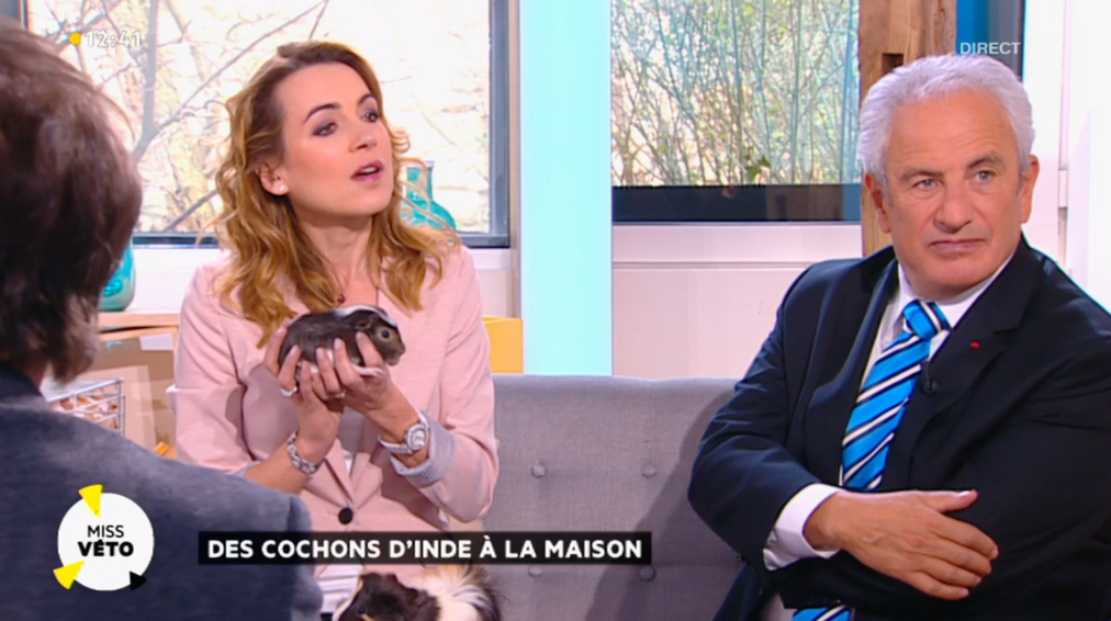 Cochon-dinde-laetitia.jpg