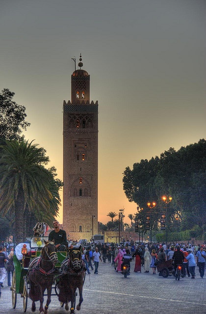 Vue de Marrakech.jpg