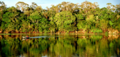 Foret Amazonienne RSLN.png