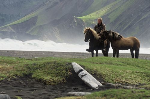 Cheval islandais islande paysage.jpg