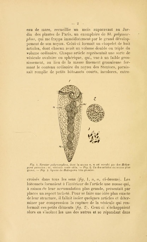 Annales de micrographie tome 5 (1891) I. A..pdf
