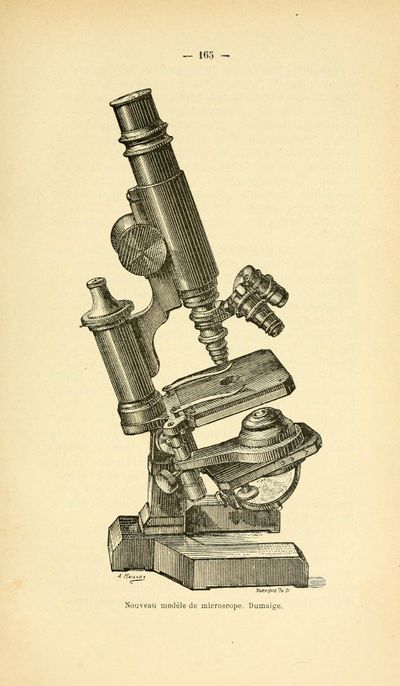 Annales de micrographie tome 2 (1891) I. A. page 173.jpg