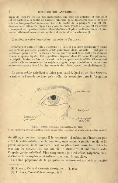Fichier:Biographie anatomique (1893) T20 I. A.pdf
