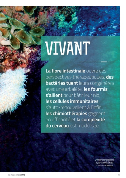 Fichier:RA CNRS2016 complet BD.pdf