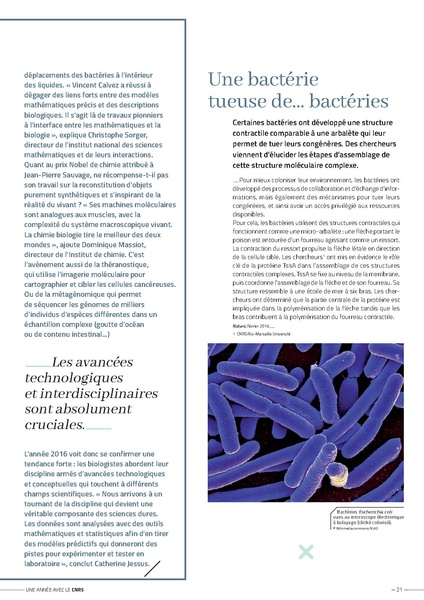 Fichier:RA CNRS2016 complet BD.pdf