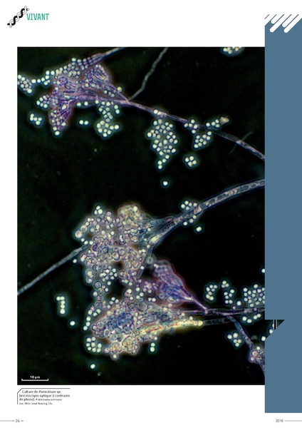 Fichier:RA CNRS2016 complet BD.pdf
