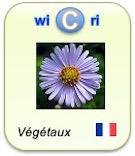 Pour aller sur le wiki Wicri/Végéteaux (fr)