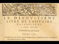 Vignette pour la version du 12 décembre 2020 à 15:12