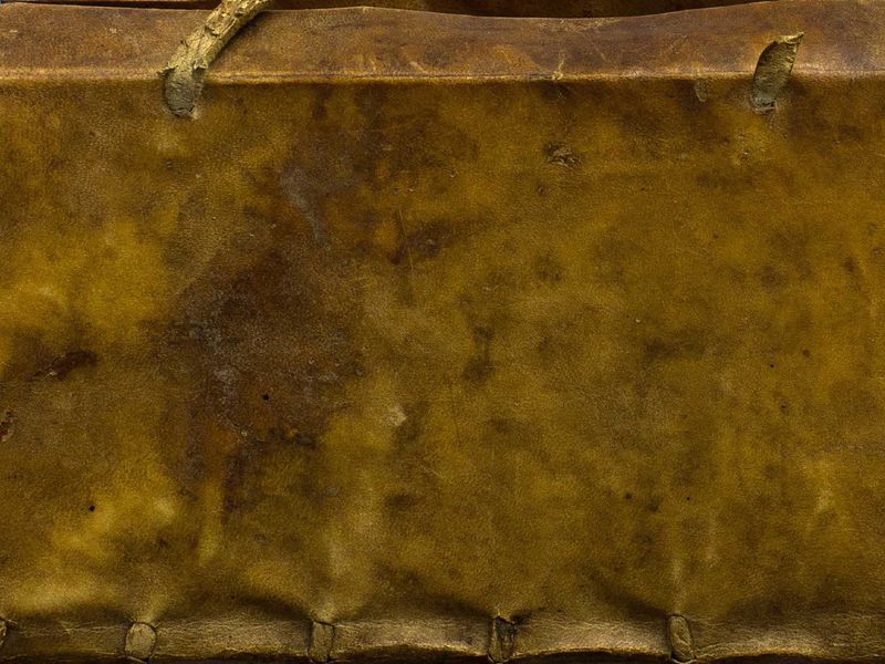 Fichier:Diaporama visite exposition Renaissance (168).jpg