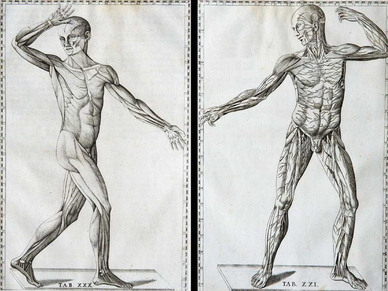 Fichier:Diaporama visite exposition Renaissance (133).jpg
