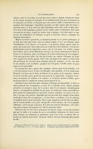 Fichier:Jardin des plantes (1845) Boitard, page 263.jpg