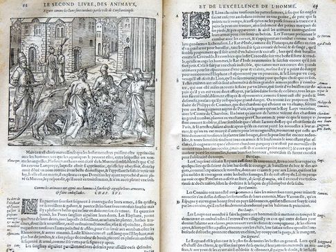 Diaporama visite exposition Renaissance (154).jpg