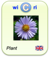 LogoWicriPlant2025En.png