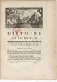 Buffon Hist Nat E.O. Tome 17 f19.jpg