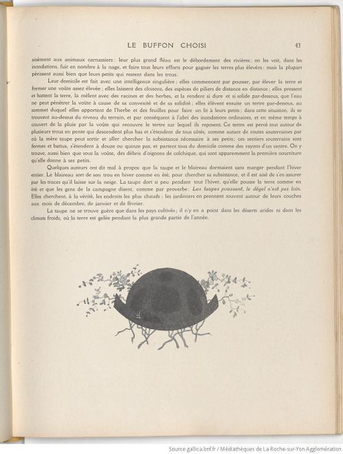 Le Buffon choisi de Benjamin Rabier, page f51.jpg