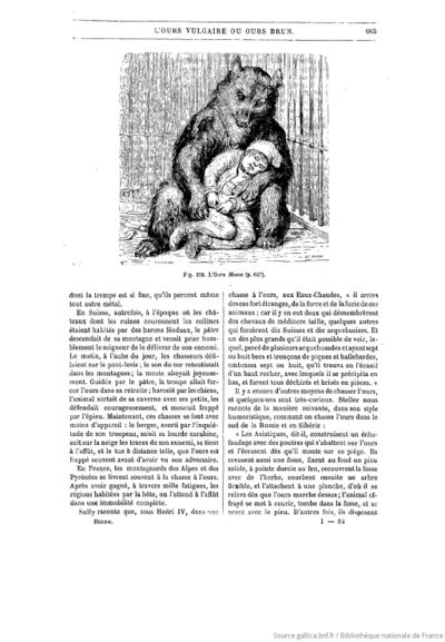 Les mammifères (1891) Brehm, Gerbe, tome 1 pages f703.jpg