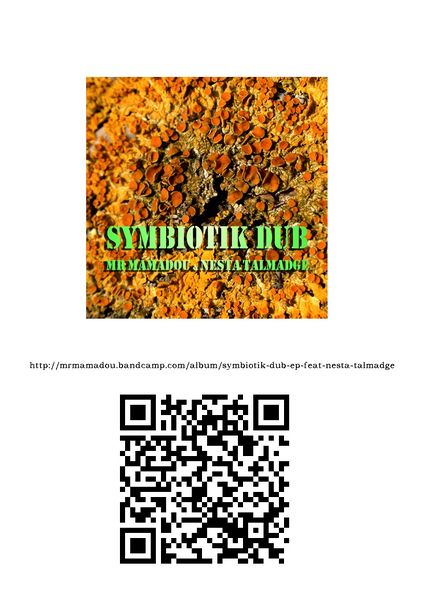 Fichier:Album Symbiotik.jpg
