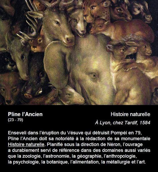 Fichier:Cartel 04-Pline.jpg