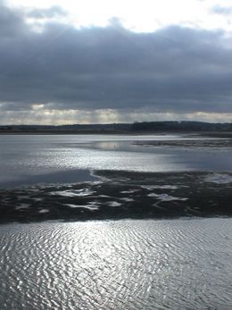 L'étang de Lindre à contre-jour
