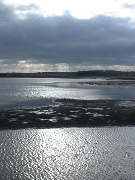 Fichier:Linderweiher im Gegenlicht.jpg
