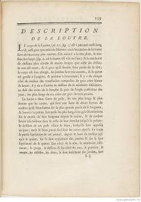 Buffon Hist Nat E.O. Tome 7 f175.jpg