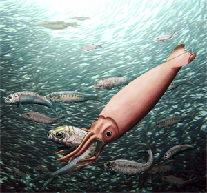 Clarkeiteuthis and Leptolepis reconstruction.png