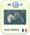 Pour aller sur Wicri/Sols urbains (fr)