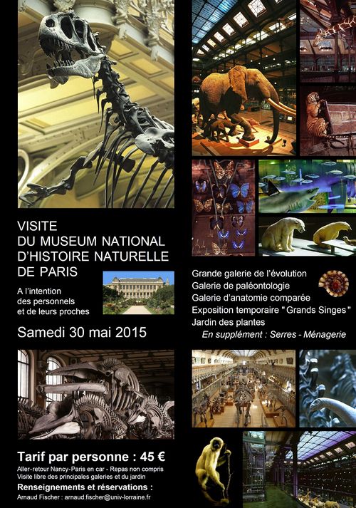 Visite Museum histoire naturelle Paris 2015-1.jpg