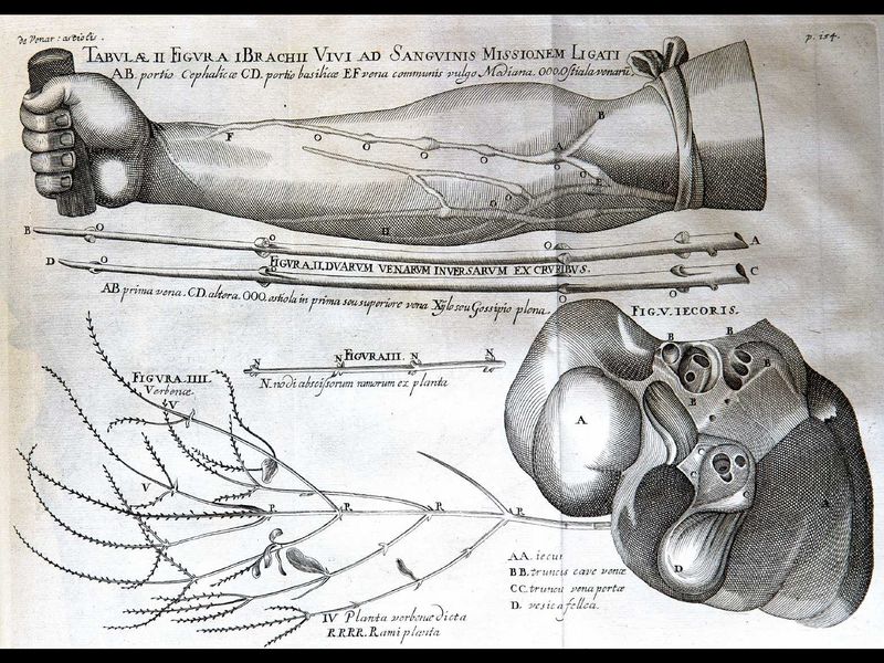 Fichier:Diaporama visite exposition Renaissance (136).jpg