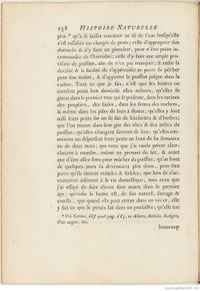 Buffon Hist Nat E.O. Tome 7 f172.jpg