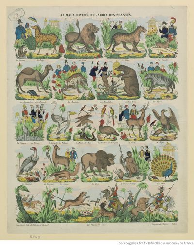 Image Epinal Animaux du jardin des plantes.jpeg
