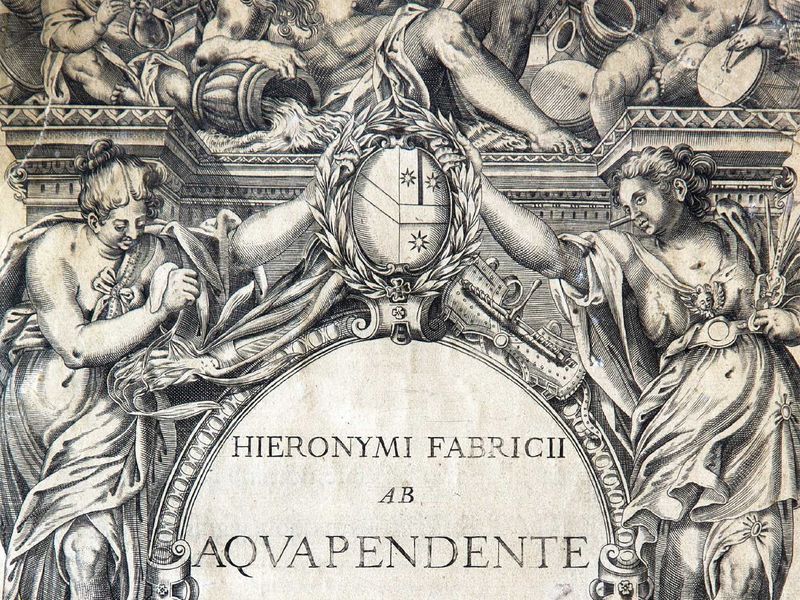 Fichier:Diaporama visite exposition Renaissance (135).jpg